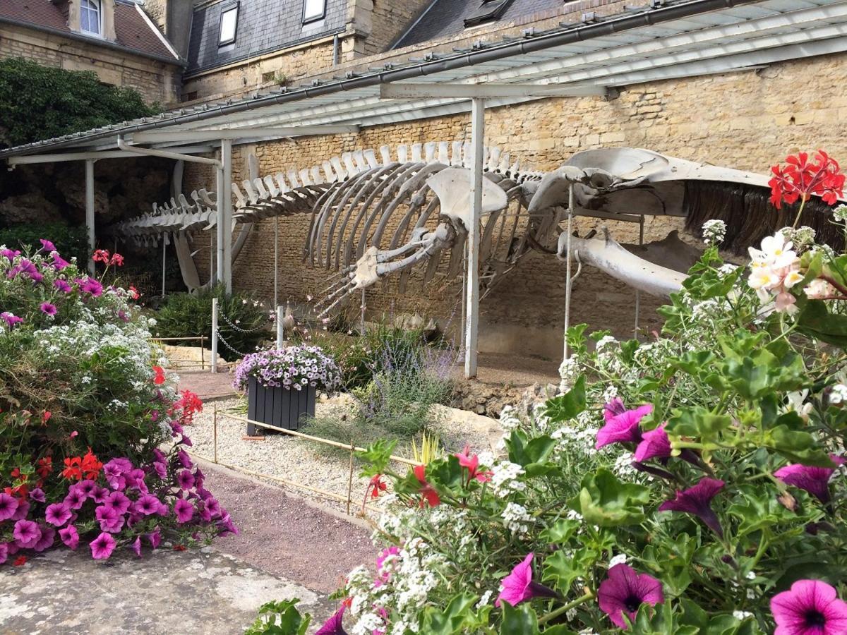 Maison,Appartement De Charme Bord De Mer - Avec Jardin Et Wifi Luc-sur-Mer Exterior foto